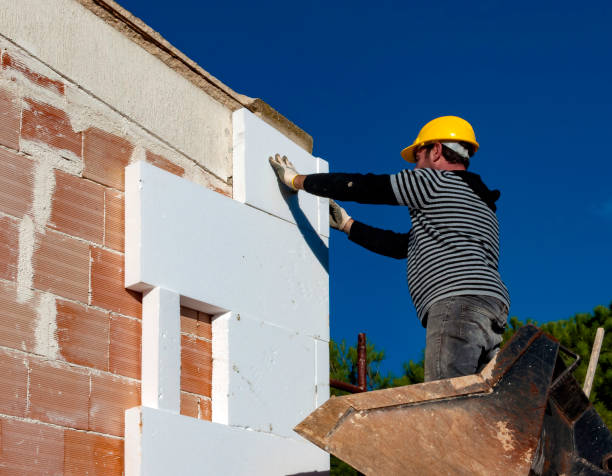 Best Wall Insulation Contractor  in Cassopolis, MI