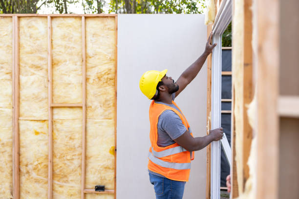 Best Insulation Replacement Services  in Cassopolis, MI