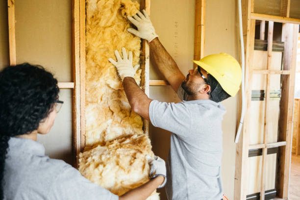 Best Soundproof Insulation Installation  in Cassopolis, MI