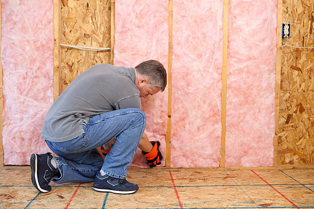 Best Commercial Insulation Contractor  in Cassopolis, MI