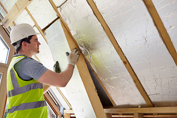 Best Spray Foam Insulation  in Cassopolis, MI